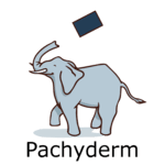 Pachyderm logo