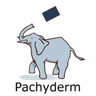 Pachyderm logo