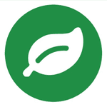 Rainforest logo