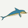 Dolphin logo